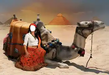 Εφέ φωτογραφιών στην κατηγορία Για γυναίκες № 38344