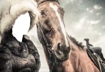 Εφέ φωτογραφιών στην κατηγορία Για γυναίκες № 38493