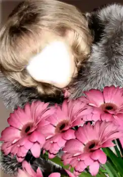 Εφέ φωτογραφιών στην κατηγορία Για γυναίκες № 38949