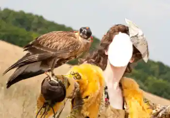 Εφέ φωτογραφιών στην κατηγορία Για γυναίκες № 61598