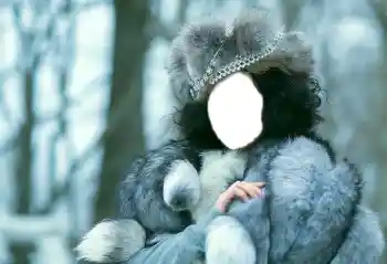 Εφέ φωτογραφιών στην κατηγορία Για γυναίκες № 85277