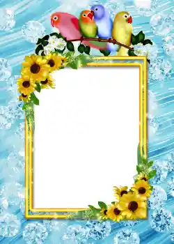 Εφέ φωτογραφιών στην κατηγορία Άλμπουμ Αρ.4 № 860