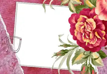 Εφέ φωτογραφιών στην κατηγορία Κορνίζες για ερωτευμένες № 112250 Εφέ φωτογραφιών στην κατηγορία Κορνίζες για ερωτευμένες № 112250