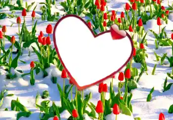 Εφέ φωτογραφιών στην κατηγορία Κορνίζες για ερωτευμένες № 114247 Εφέ φωτογραφιών στην κατηγορία Κορνίζες για ερωτευμένες № 114247