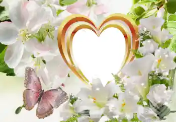 Εφέ φωτογραφιών στην κατηγορία Κορνίζες για ερωτευμένες № 114320 Εφέ φωτογραφιών στην κατηγορία Κορνίζες για ερωτευμένες № 114320