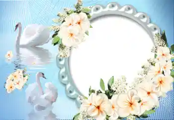 Εφέ φωτογραφιών στην κατηγορία Κορνίζες για ερωτευμένες № 12891