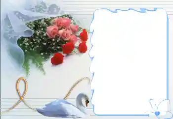 Εφέ φωτογραφιών στην κατηγορία Κορνίζες για ερωτευμένες № 12892