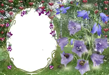 Εφέ φωτογραφιών στην κατηγορία Κορνίζες για ερωτευμένες № 131799