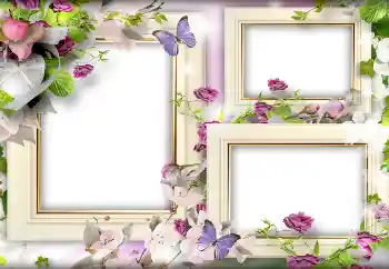 Εφέ φωτογραφιών στην κατηγορία Κορνίζες για ερωτευμένες № 141166