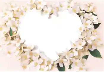 Εφέ φωτογραφιών στην κατηγορία Κορνίζες για ερωτευμένες № 14892