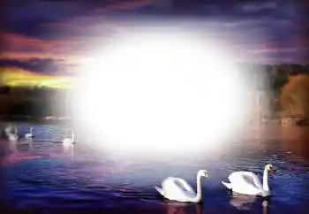 Εφέ φωτογραφιών στην κατηγορία Κορνίζες για ερωτευμένες № 153250