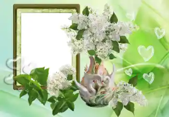 Εφέ φωτογραφιών στην κατηγορία Κορνίζες για ερωτευμένες № 153257