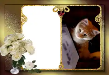 Εφέ φωτογραφιών στην κατηγορία Κορνίζες για ερωτευμένες № 163583