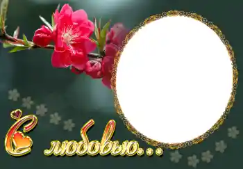 Η επιγραφή στην κορνίζα: С любовью...