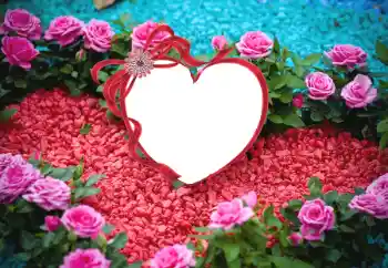 Εφέ φωτογραφιών στην κατηγορία Κορνίζες για ερωτευμένες № 175547 Εφέ φωτογραφιών στην κατηγορία Κορνίζες για ερωτευμένες № 175547