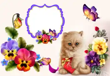 Εφέ φωτογραφιών στην κατηγορία Κορνίζες για ερωτευμένες № 177858 Εφέ φωτογραφιών στην κατηγορία Κορνίζες για ερωτευμένες № 177858