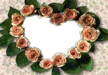 Εφέ φωτογραφιών στην κατηγορία Κορνίζες για ερωτευμένες № 1788