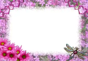 Εφέ φωτογραφιών στην κατηγορία Κορνίζες για ερωτευμένες № 1817 Εφέ φωτογραφιών στην κατηγορία Κορνίζες για ερωτευμένες № 1817