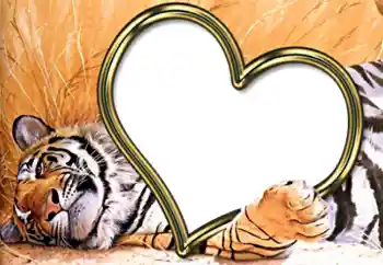 Εφέ φωτογραφιών στην κατηγορία Κορνίζες για ερωτευμένες № 2202