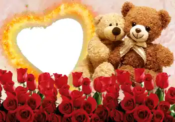 Εφέ φωτογραφιών στην κατηγορία Κορνίζες για ερωτευμένες № 2215