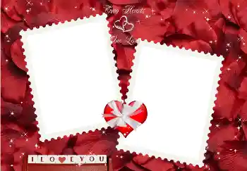 Η επιγραφή στην κορνίζα: I love you!