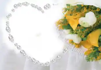 Εφέ φωτογραφιών στην κατηγορία Κορνίζες για ερωτευμένες № 2856