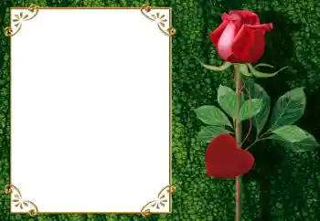 Εφέ φωτογραφιών στην κατηγορία Κορνίζες για ερωτευμένες № 34006 Εφέ φωτογραφιών στην κατηγορία Κορνίζες για ερωτευμένες № 34006