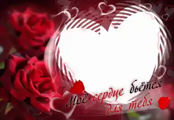 Η επιγραφή στην κορνίζα: Моё сердце бьётся для тебя Η επιγραφή στην κορνίζα: Моё сердце бьётся для тебя