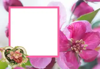 Εφέ φωτογραφιών στην κατηγορία Κορνίζες για ερωτευμένες № 43593 Εφέ φωτογραφιών στην κατηγορία Κορνίζες για ερωτευμένες № 43593