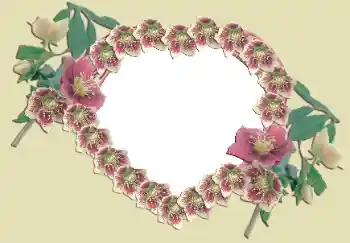 Εφέ φωτογραφιών στην κατηγορία Κορνίζες για ερωτευμένες № 49524 Εφέ φωτογραφιών στην κατηγορία Κορνίζες για ερωτευμένες № 49524