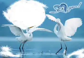 Η επιγραφή στην κορνίζα: I love you!