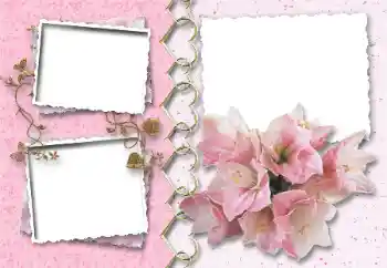 Εφέ φωτογραφιών στην κατηγορία Κορνίζες για ερωτευμένες № 64046