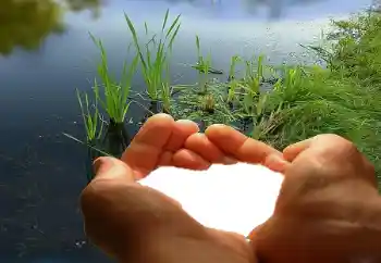 Εφέ φωτογραφιών στην κατηγορία Κορνίζες για ερωτευμένες № 67019