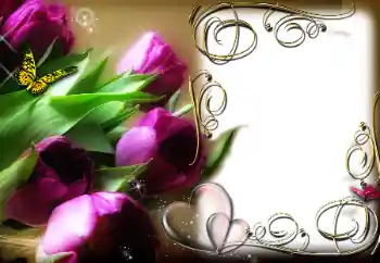 Εφέ φωτογραφιών στην κατηγορία Κορνίζες για ερωτευμένες № 78969 Εφέ φωτογραφιών στην κατηγορία Κορνίζες για ερωτευμένες № 78969