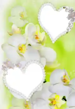 Εφέ φωτογραφιών στην κατηγορία Κορνίζες για ερωτευμένες № 91900 Εφέ φωτογραφιών στην κατηγορία Κορνίζες για ερωτευμένες № 91900