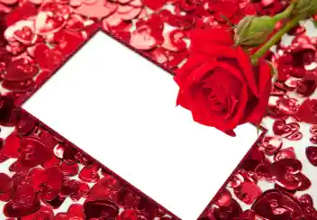 Εφέ φωτογραφιών στην κατηγορία Κορνίζες για ερωτευμένες № 96066 Εφέ φωτογραφιών στην κατηγορία Κορνίζες για ερωτευμένες № 96066