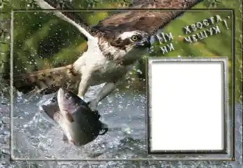 Η επιγραφή στην κορνίζα: Fishing Η επιγραφή στην κορνίζα: Fishing