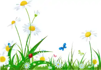 Η επιγραφή στην κορνίζα: Συγχαρητήρια για την 8η Μαρτίου Η επιγραφή στην κορνίζα: Συγχαρητήρια για την 8η Μαρτίου