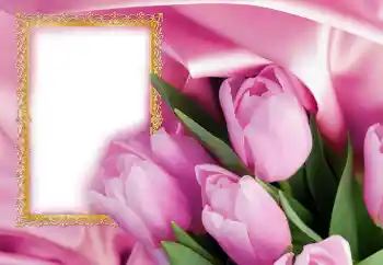 Η επιγραφή στην κορνίζα: Συγχαρητήρια για την 8η Μαρτίου Η επιγραφή στην κορνίζα: Συγχαρητήρια για την 8η Μαρτίου