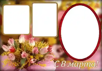 Εφέ φωτογραφιών στην κατηγορία Κάρτες για την γιορτή 8 Μαρτίου № 166258. Η επιγραφή στην κορνίζα: Συγχαρητήρια για την 8η Μαρτίου