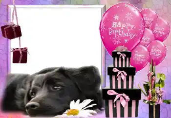 Η επιγραφή στην κορνίζα: Happy Birthday!