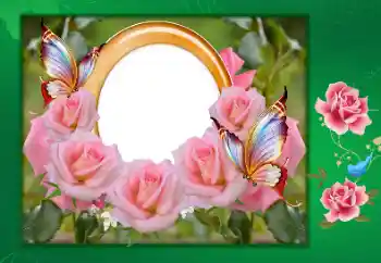 Η επιγραφή στην κορνίζα: Happy anniversary!