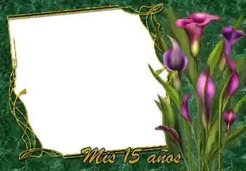 Η επιγραφή στην κορνίζα: Χαρούμενα γενέθλια!