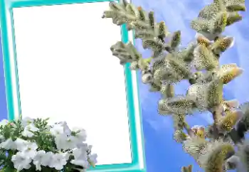 Εφέ φωτογραφιών στην κατηγορία Πασχαλινές κάρτες № 131205 Εφέ φωτογραφιών στην κατηγορία Πασχαλινές κάρτες № 131205