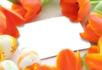 Εφέ φωτογραφιών στην κατηγορία Πασχαλινές κάρτες № 93170