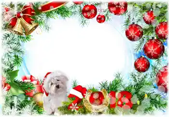 Η επιγραφή στην κορνίζα: 2026 Η επιγραφή στην κορνίζα: 2026