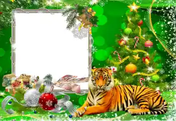 Εφέ φωτογραφιών στην κατηγορία Πρωτοχρονιάτικες κάρτες № 194162