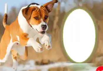 Η επιγραφή στην κορνίζα: Καλή Χρονιά!