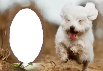 Η επιγραφή στην κορνίζα: Καλή Χρονιά!