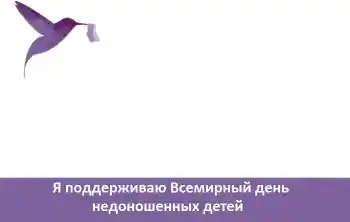 Η επιγραφή στην κορνίζα: Я поддерживаю Всемирный день недоношенных детей